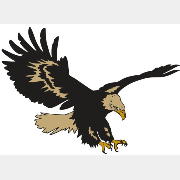 AR EAGLE 47 RC Thumbnail