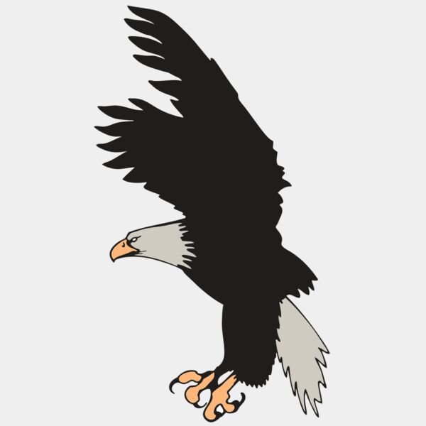 AR EAGLE 91 RC Thumbnail