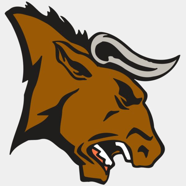 AR BULL 38 RC Thumbnail