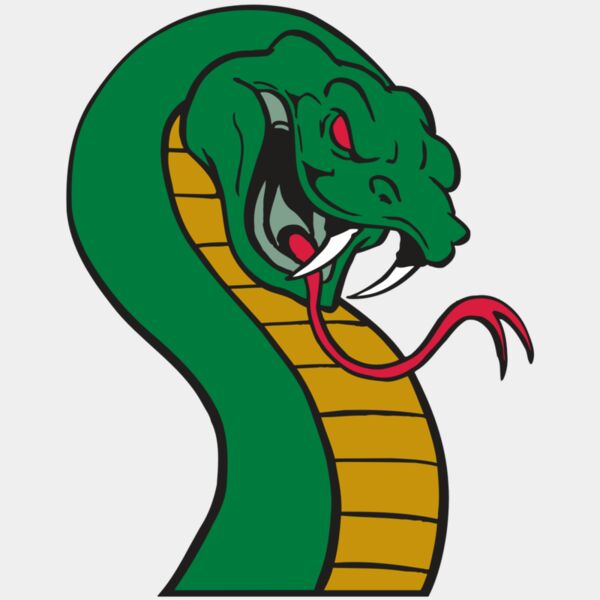 AR SNAKE 12 RC Thumbnail