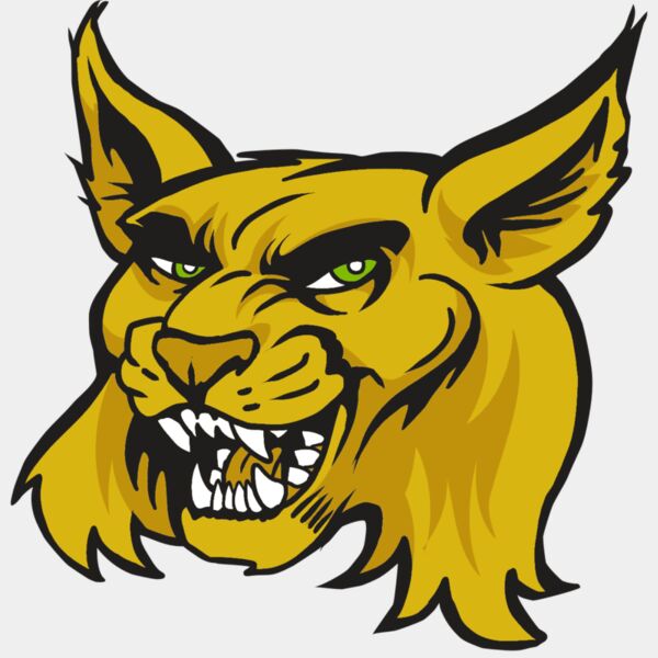 AR30 WILDCAT 03 RQC Thumbnail